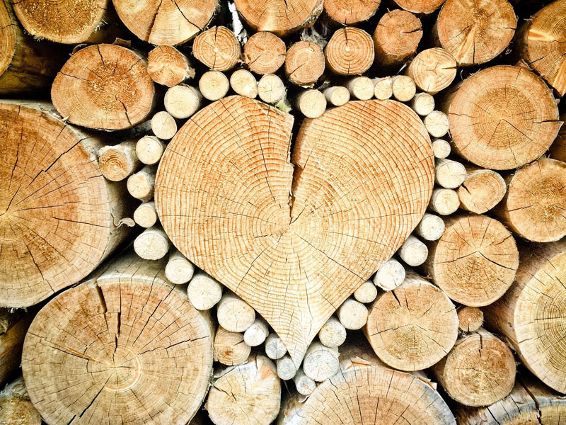Wir lieben Holz